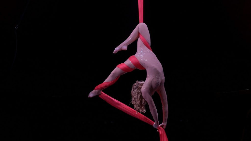 Aerial Silks An aweinspiring, versatile art form Pole World News